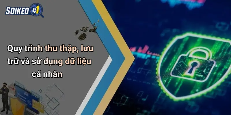 Quy trình thu thập, lưu trữ và sử dụng dữ liệu cá nhân