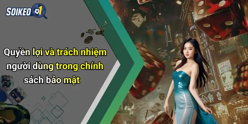 Quyền lợi và trách nhiệm người dùng trong chính sách bảo mật