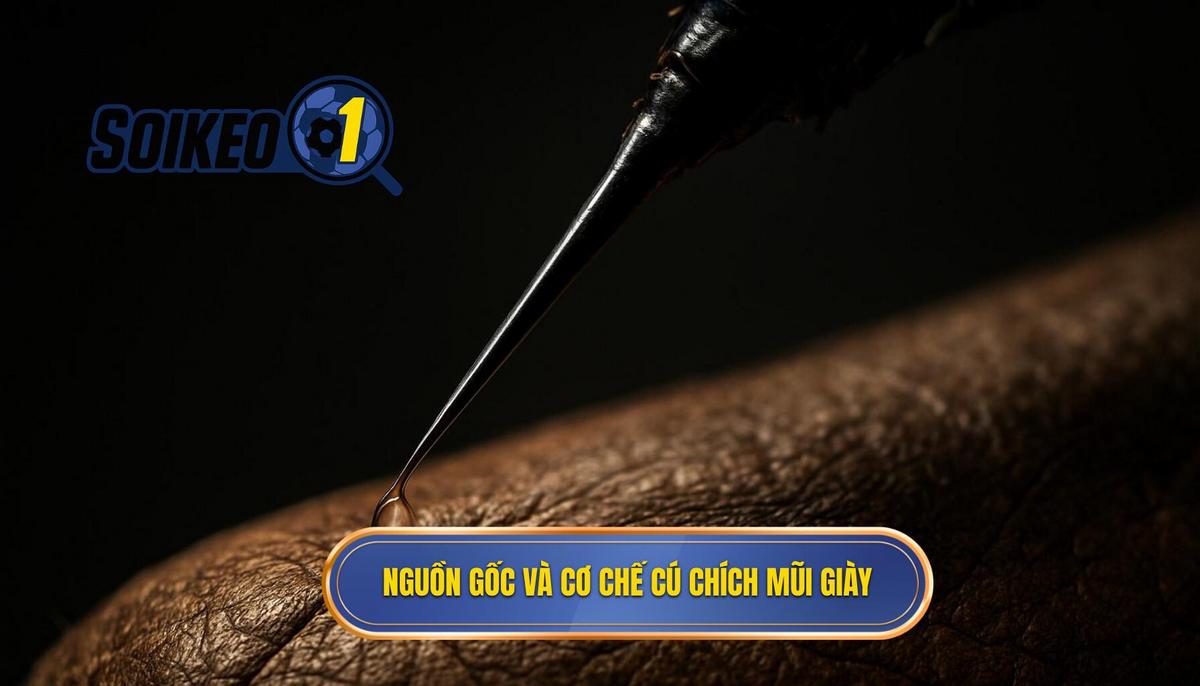 Nguồn Gốc và Cơ Chế Vật Lý của Cú Chích Mũi Giày