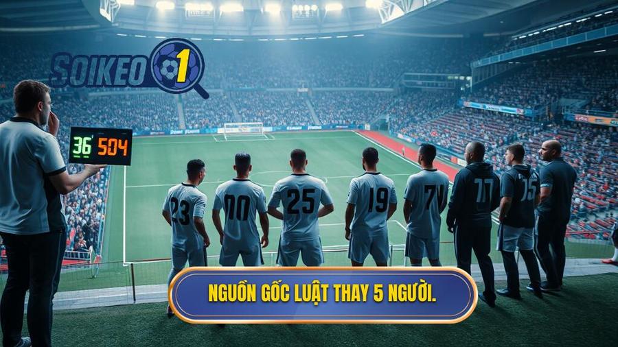 1. Nguồn gốc luật thay 5 người.