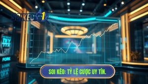 Tỷ lệ cược có xu hướng đảo chiều nhẹ: Nhận diện biến động và chiến thuật ứng phó